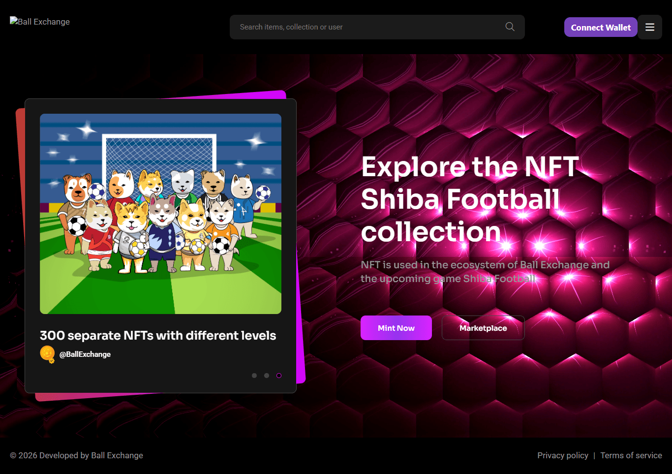 Shiba Football NFT — project preview